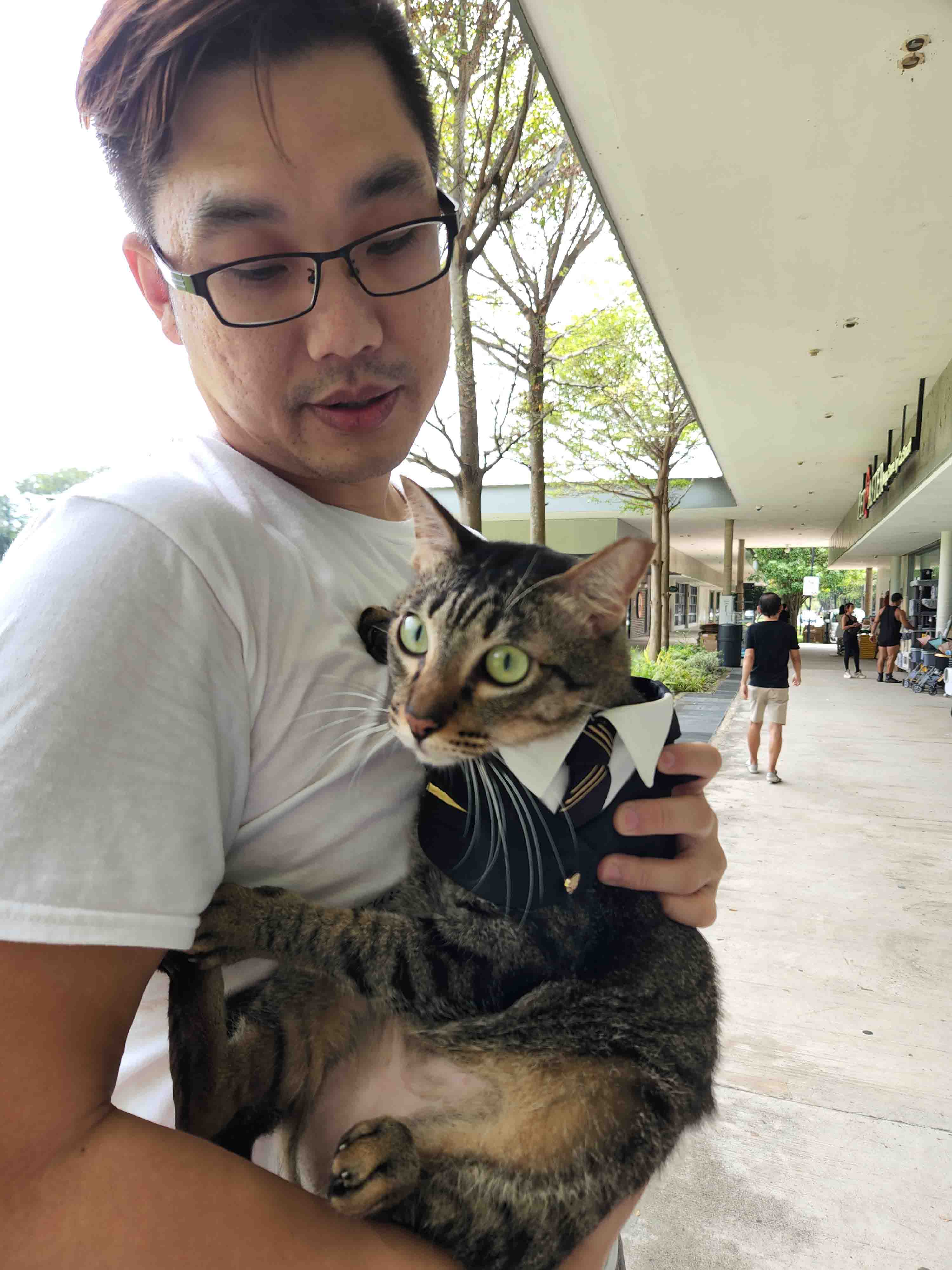 relive-discount-madness-2023-catsmart-singapore